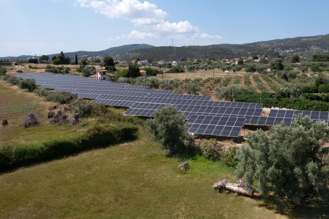 Negroponte Resort Eretria エクステリア 写真
